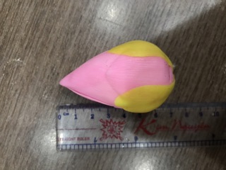 Nụ Sen đất sét
