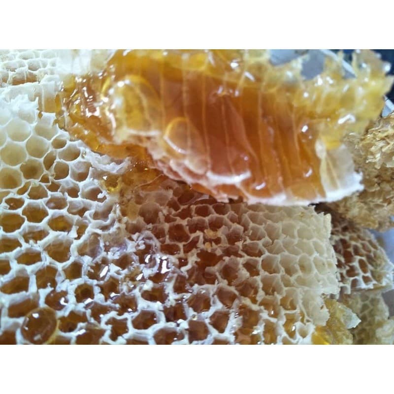 Nghệ Ngâm Mật Ong Hoa Cafe Honey Chai 500ml _ uống trực tiếp và làm mặt nạ an toàn cho da