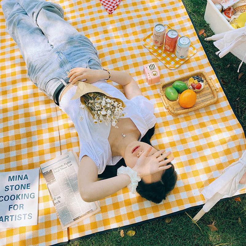 Thảm dã ngoại, thảm picnic gấp gọn, thảm du lịch chống thấm nước họa tiết caro cao cấp | BigBuy360 - bigbuy360.vn