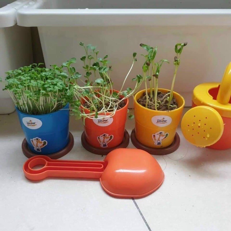 Bộ đồ chơi trồng cây 13 chi tiết siêu to nhựa dày đẹp hàng khuyến mại của Grow + kèm hạt giống
