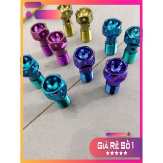 Ốc heo dầu zin gr5