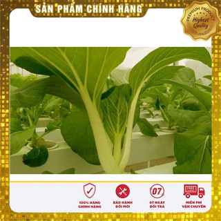 Hạt Giống Cải Chíp Cao Sản(20gr)
