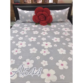 Trọn bộ Drap cotton 100% (4món)