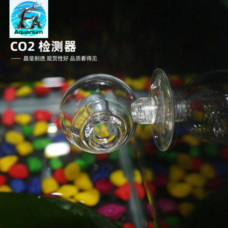 TEST CO2 HỒ THỦY SINH