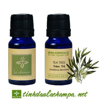 Tinh dầu Tràm Trà Úc Teatree Lachampa - chữa trị cảm mạo, phong hàn, kháng viêm