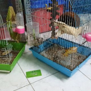 Bình đựng sữa cho Sóc nhỏ