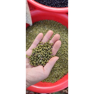 Đậu xanh nguyên hạt hữu cơ làm sữa, giá Ogranic Famiyumifarm 500gr