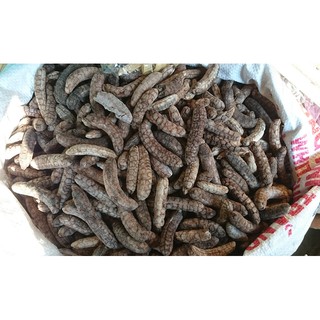 Chuối hột rừng