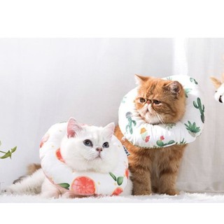 VÒNG CỔ CHỐNG LIẾM BÔNG CHO THÚ CƯNG