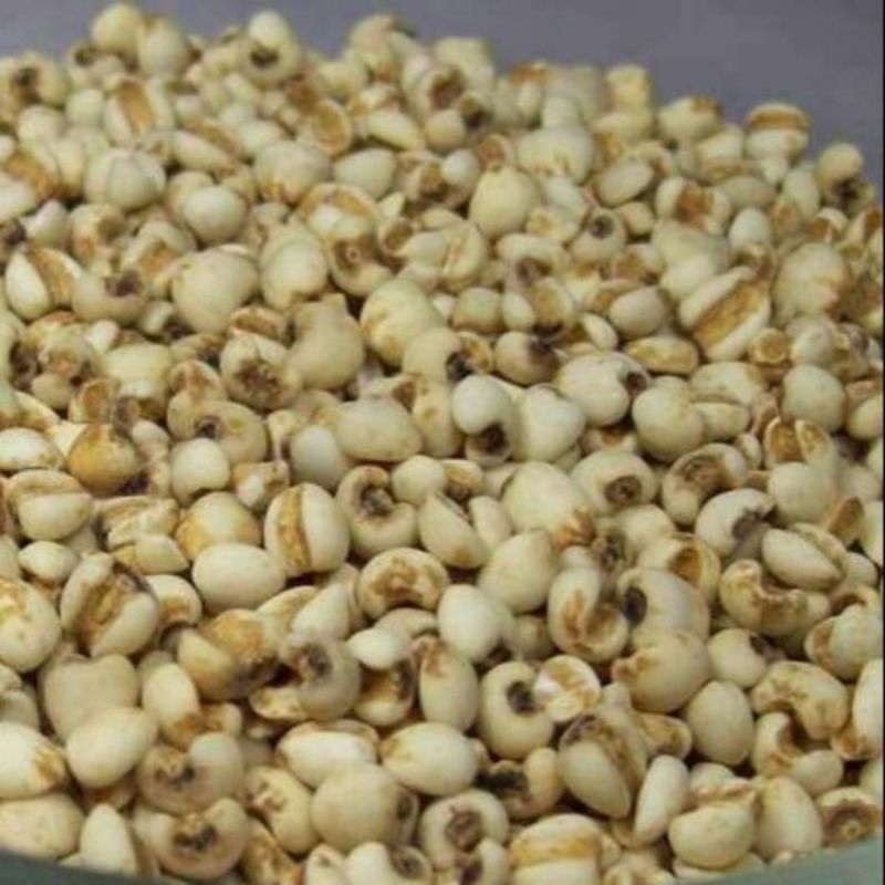 500g hạt ý dĩ bo bo