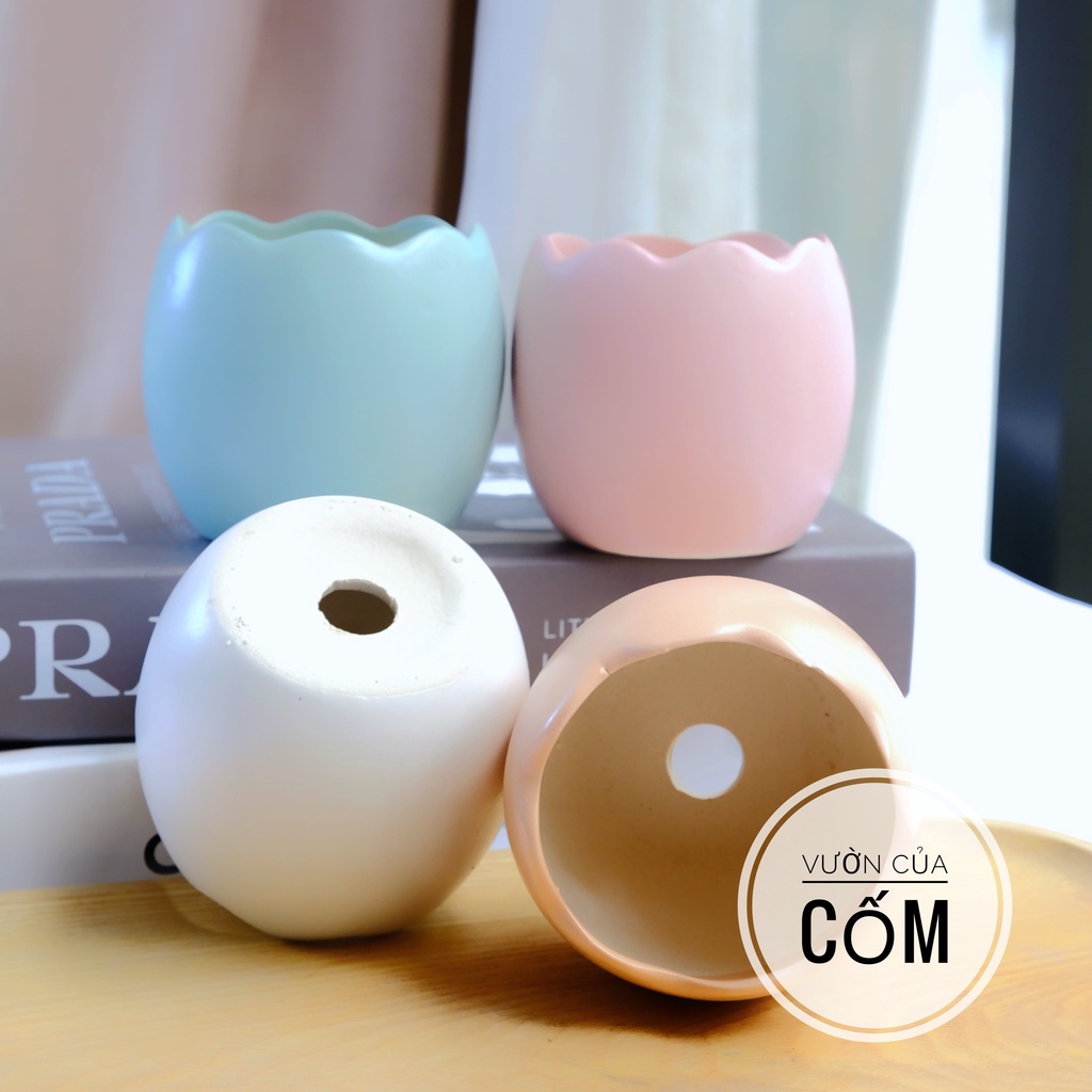 Chậu hình quả trứng  trồng sen đá , xương rồng , cây mini để bàn . Chậu có 4 màu kíck thước xấp xỉ  7 x 7 cm .