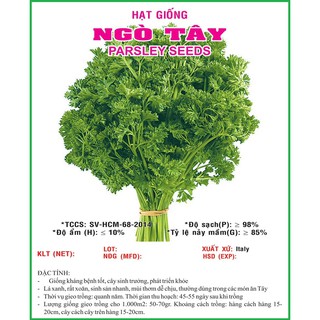 Hạt Giống Ngò Tây ☘Nhập Khẩu☘ Sen Vàng Seeds - 1 gram