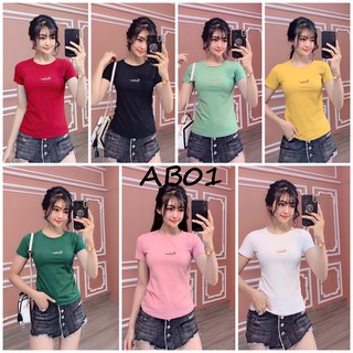 Áo thun body thun thái 100% AB01 hàng chất