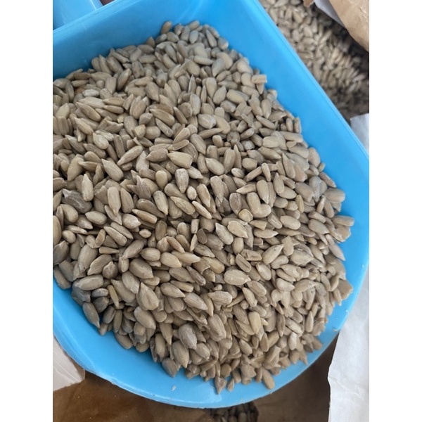 Nhân Hạt Hướng Dương dành cho thú cưng, gà đá, chim cảnh - Pet Food Store.