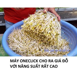 Máy làm giá đỗ và rau mầm OneClick