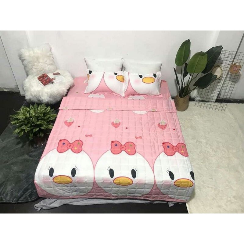 Bộ ga gối cotton poly