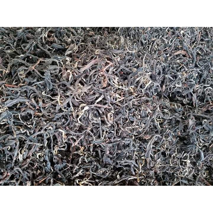 Hồng trà Shan Tuyết cổ thụ vụ Xuân - CHÈ SHAN TUYẾT SUỐI GIÀNG ( 1 tôm 2 lá)