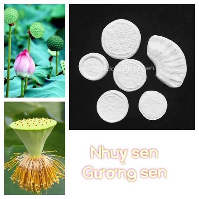 Combo gân silicon cao cấp hoa sen