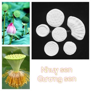 Combo gân silicon cao cấp hoa sen