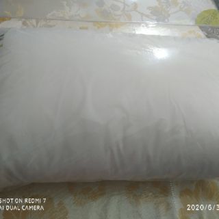 Ruột gối 45*65 SOFT EVERON