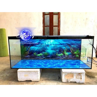 tranh 3d. tranh dán bể cá thủy sinh, bể cá rồng (tranh lưng)