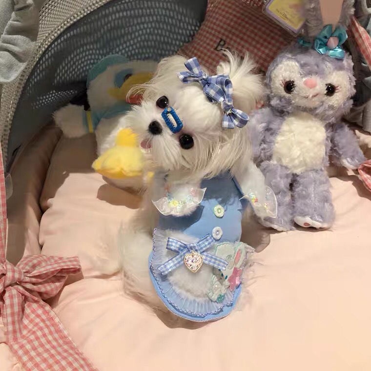 ✿☊Nguyên bản mùa thu và mùa đông thủ công đầy màu sắc thỏ con chó nhỏ Yorkshire pony Bichon Teddy mèo mèo quần áo mùa đô