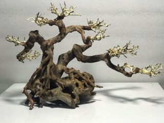 Bonsai cổ thụ cho bể cá thuỷ sinh D38xC28