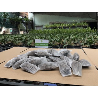 Phân Bón Túi Lưới Tan Chậm Cho Lan Cung Cấp Đầy Đủ Chất Dinh Dưỡng