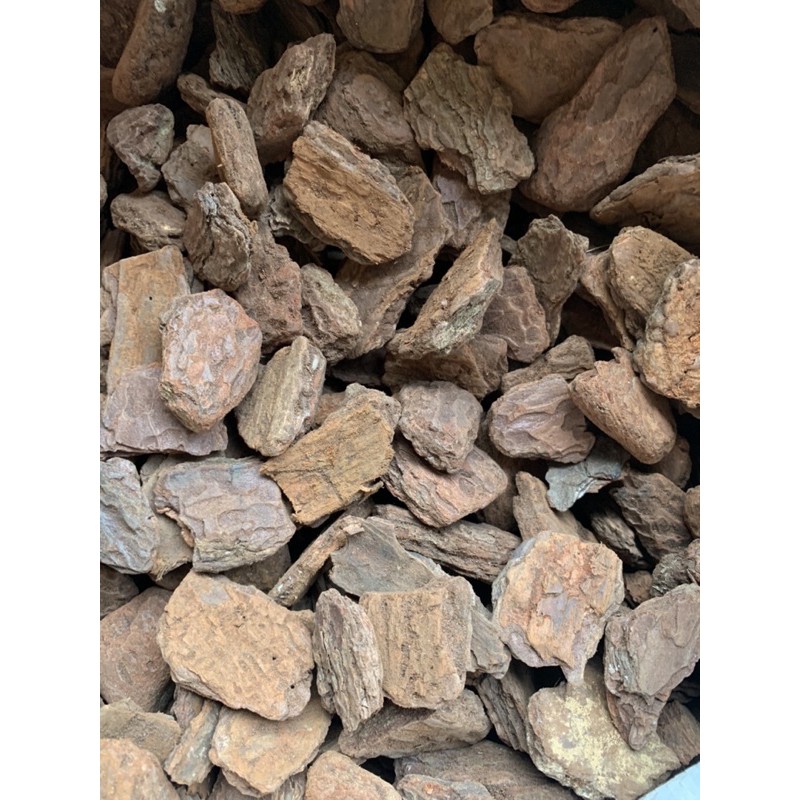 1kg VỎ GỖ THÔNG LÓT CHUỒNG BÒ SÁT