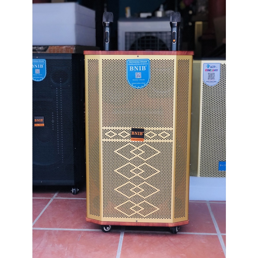 Loa kéo BNIB BASS 40, 3 đường tiếng Tặng 2 micro cao cấp
