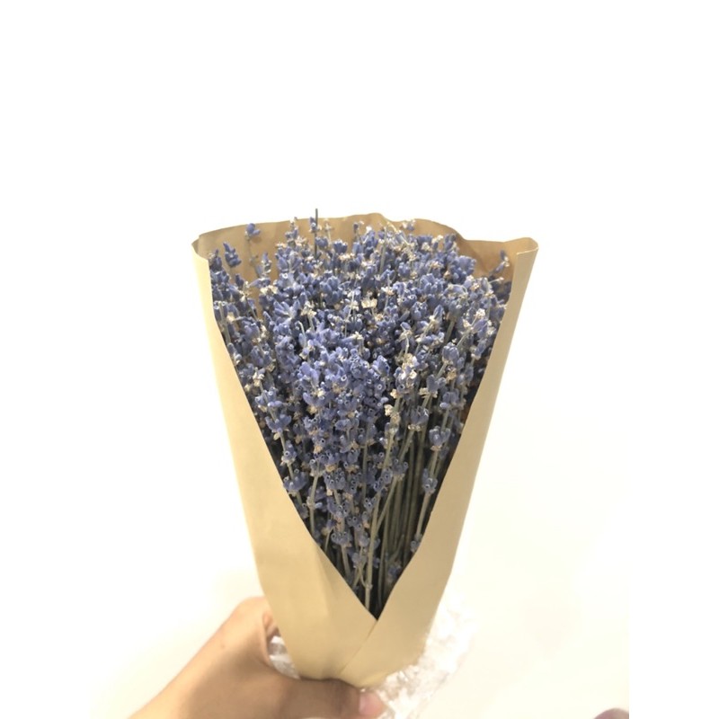 Hoa Lavender Pháp, hàng siêu đẹp, chuẩn Pháp