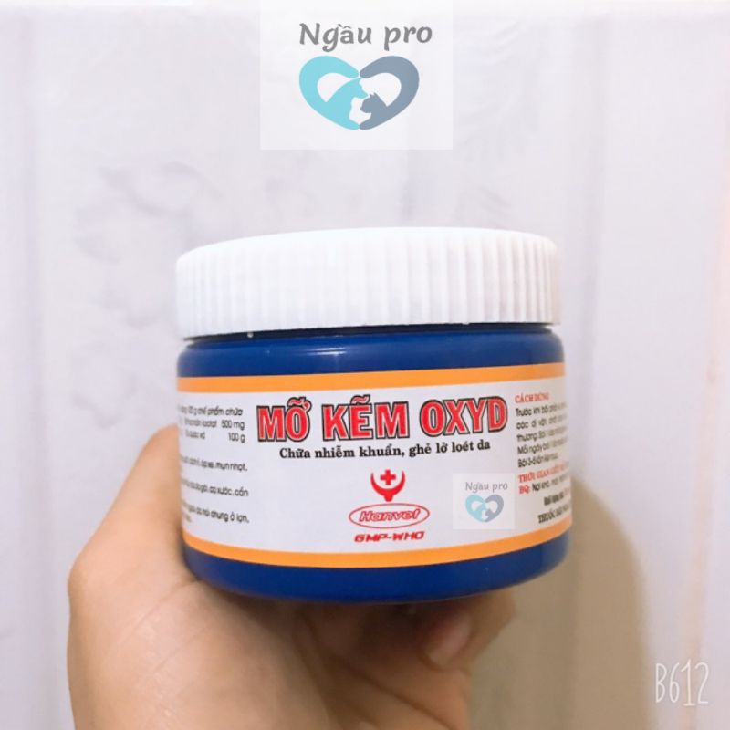 Kem bôi ngoài da OXYD trị ghẻ lở loét da chó mèo, Mỡ kẽm bôi vết thương nhiễm khuẩn da thú cưng gia súc hộp 100g Hanvet