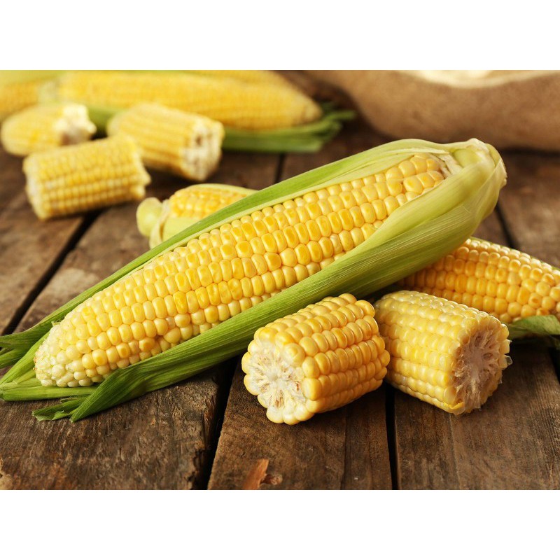 HẠT GIỐNG BẮP MỸ F1 VÀNG - GÓI 10 GRAM