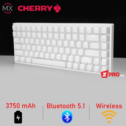 Bàn phím cơ Royal Kludge RK84 Wireless 2.4G + Bluetooth 5.1 (White)