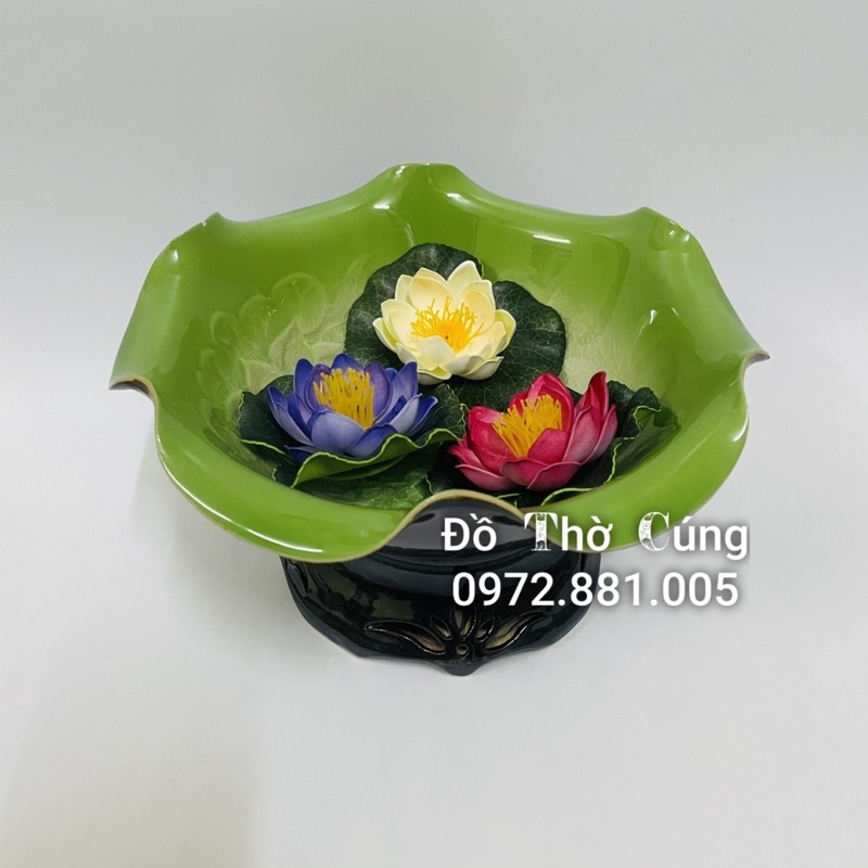 Hoa sen thả bể nước