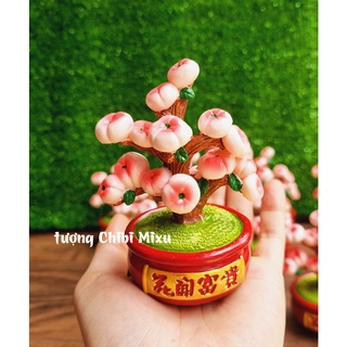 Chậu cây quả chibi dễ thương 10cm