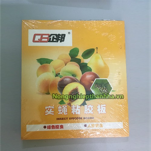 Bộ 10 miếng bẫy ruồi vàng dùng cho vườn lan, cây ăn trái - Bẫy Dính Ruồi Vàng Siêu Hiệu Quả