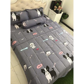 Set chăn ga gối đũi 4 món.