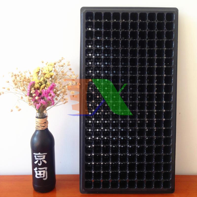 Hộp 150 khay ươm cây (Dày 1mm, nặng 120g), khay ươm hạt, vỉ ươm rau (200 lỗ)