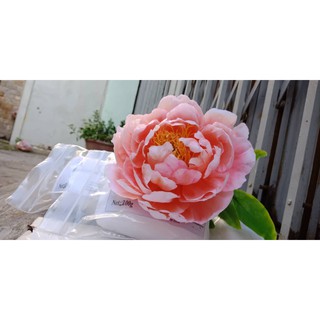 Đất sét sakura- chuyên làm hoa đất