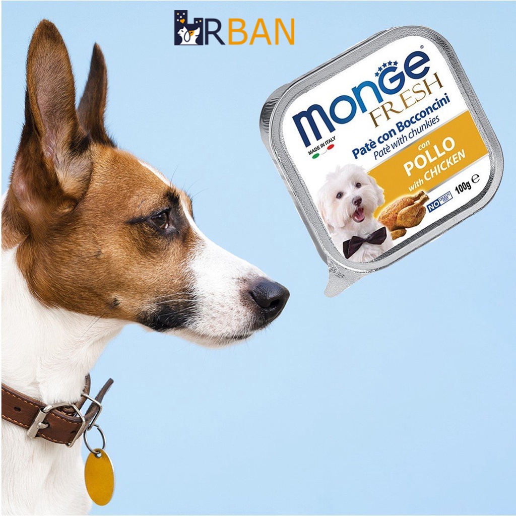 PATE MONGE CHO CHÓ - MONGE FRESH, MONGE FRUIT FOR DOG