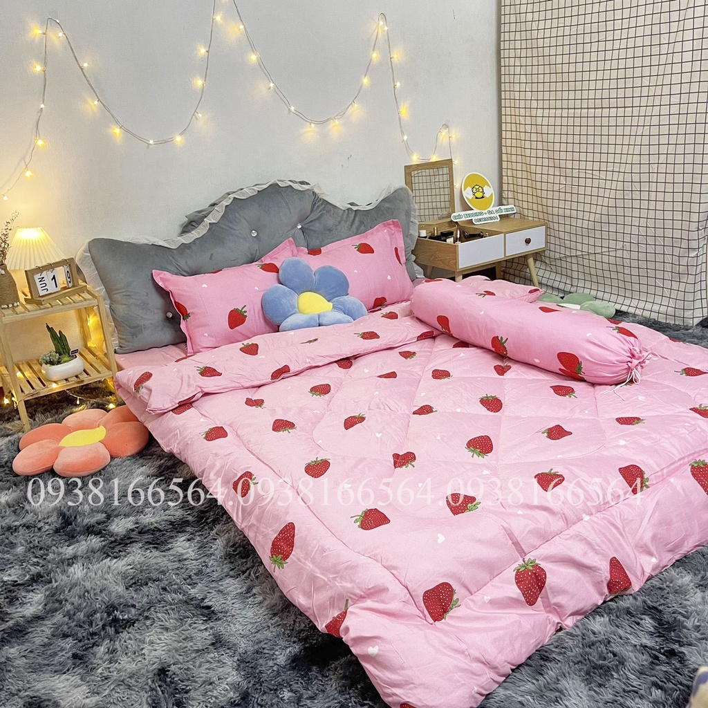 TRỌN BỘ COTTON POLY 5 MÓN CHĂN PHAO DÀY DẶN HÀNG VN HỌA TIẾT DÂU TÂY - ĐỦ KÍCH THƯỚC