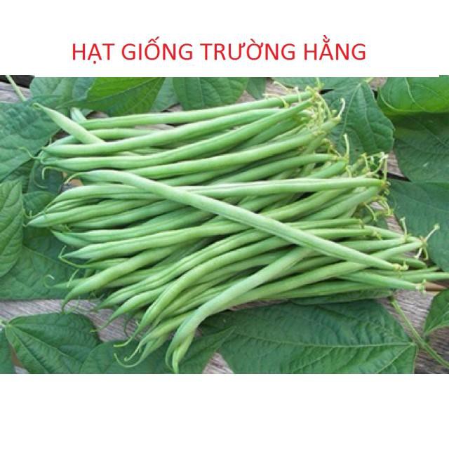 ⚡️ HẠT GIỐNG ĐẬU COVE CAO SẢN⚡️ DỄ TRỒNG NĂNG XUẤT CAO