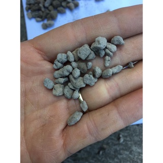 Đá Pumice (đá bọt núi lửa) (size 3-6mm ) 1kg