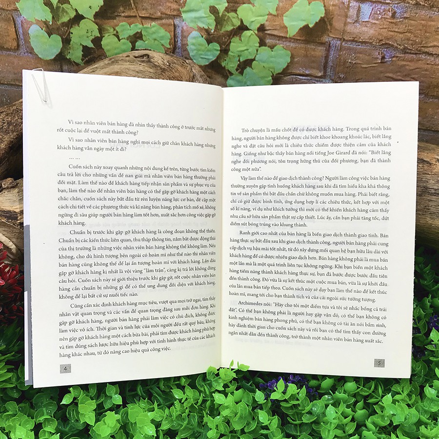 Sách - Chào Hàng Chuyên Nghiệp Để Bán Hàng Thành Công | BigBuy360 - bigbuy360.vn