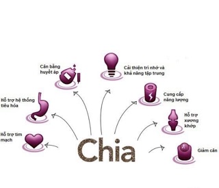 Hạt chia Úc Black Bag túi 500gr