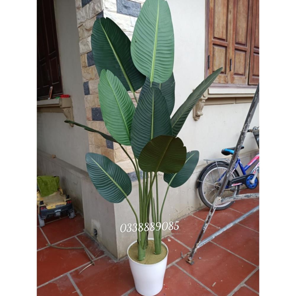 Giảm giá- Cây giả - cây chuối Singapo 1,6m kèm chậu - Hàng cao cấp lá xanh lì không bóng