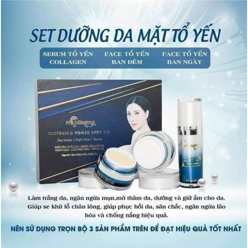 COMBO TỔ YẾN NCOLLAGEN