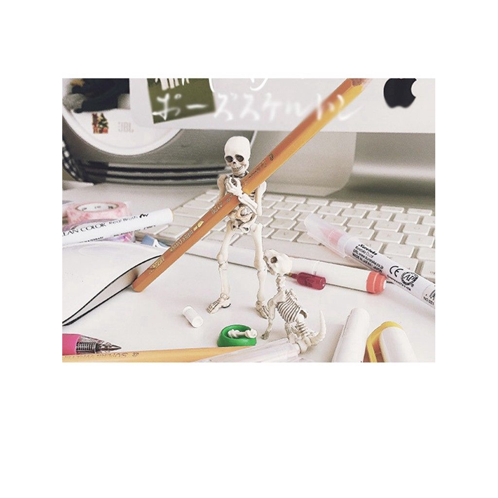 Mô Hình Bộ Xương Người Linh Hoạt