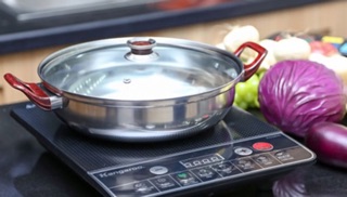 Bếp từ Kangaroo KG356H